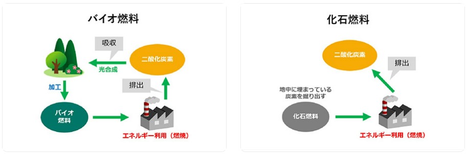 「サステオ」イメージ画像