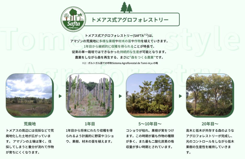 図解