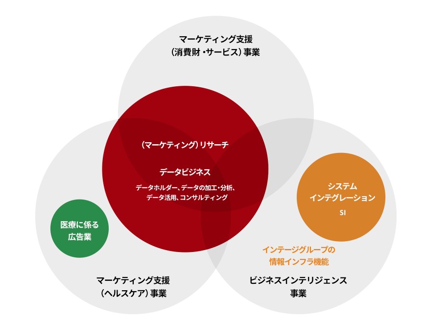 インテージ　事業内容　図解