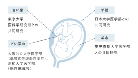 ステムセル 産学