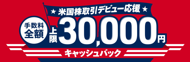 3万円キャッシュバック