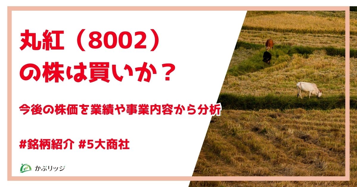 丸紅（8002） の株は買いか？
