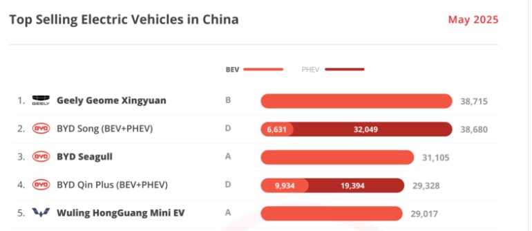 中国EVシェア　ランキング