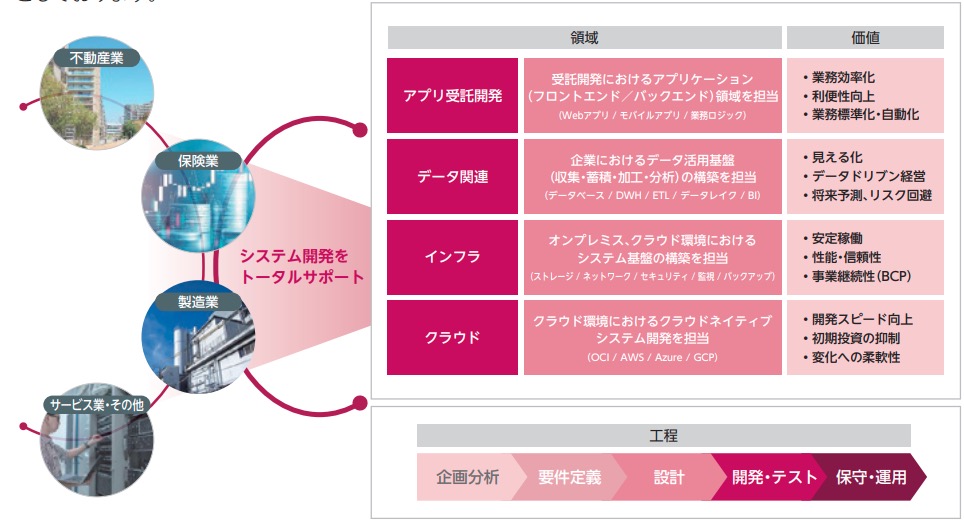 システムエグゼ　事業領域