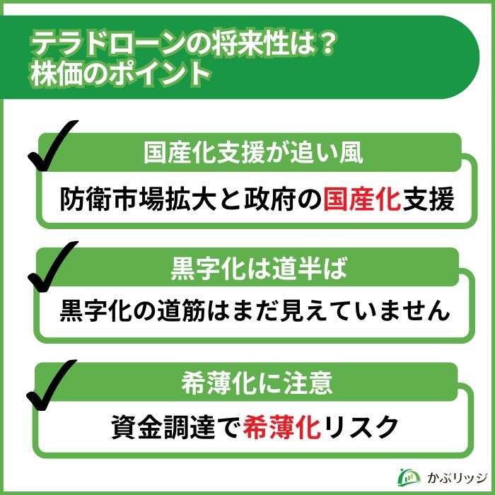テラドローン　将来性